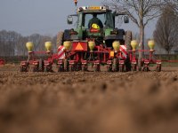 13,4 procent minder uien in 2012