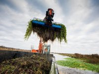 13,4 procent minder uien in 2012