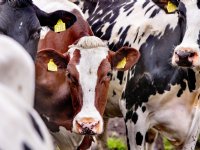 Samenwerken biedt loonbedrijven volop kansen