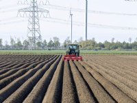 CO2-voetafdruk Britse varkenssector 40 procent kleiner