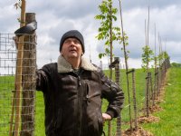WAPA: Europese appel- en perenproductie hoger dan geraamd