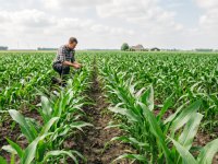 Telers zoeken alternatief spuit- en handwerk