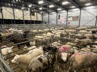 AH: controle bij land van herkomst