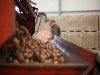 AWP Delfland: \'Meer controle op waterkwaliteit in kassengebied is noodzakelijk\'