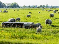 \'Agrariërs moeten verder kijken dan alleen hun eigen clubje\'