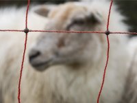 Noordelijke provincies gaan met Leader voor duurzaam platteland