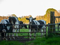 Noordelijke provincies gaan met Leader voor duurzaam platteland