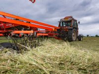 Freshfel vraagt compensatie voor importverbod Wit-Rusland