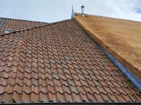 \'Biologische nitrificatieremmer kan stikstofgebruik in tarwe fors verlagen\'