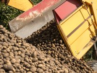 \'Het probleem van de weigeraars\'