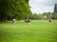 CDA kibbelt met Farmers Defence Force tijdens boerenprotest