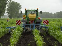 \'Rijke biodiversiteit in zonneparken maar geen vervanger agrarisch landschap\'