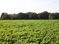 Heyboer en CAV Agrotheek samen verder