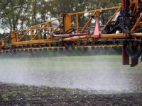 Geen landbouwvrijstelling bij oogsten zonne-energie, al lopen er schapen onder