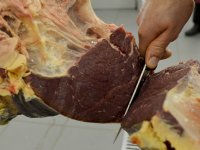 Coronavirus vaker wegbereider voor longontsteking bij rund