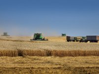 \'Pluimveehouders kunnen meer duurzame keuzes maken\'