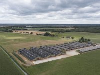 Koeien na achttien jaar weer naar buiten