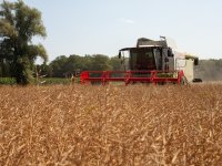 Enorme voorraden boter en kaas drukken zuivelmarkt