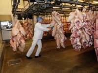 \'Evaluatie risico voor bijen gebrekkig\'