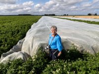 Vleesvervangers? Nederlandse teler pikt amper een graantje mee