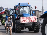 Prijzen peulvruchten week 25