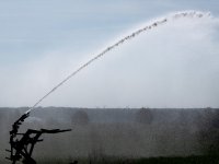 Bijna 100.000 liter-koe dood door evacuatie