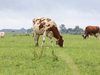 Jongeren vloggen over hun bijbaan onder glas