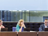 Sterkere prijsdaling fijne uien