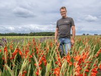 Biologische melkprijs Arla daalt, regulier stabiel