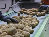 Plannen uit coalitieakkoord brengen stikstofdoelen nog niet binnen bereik