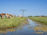 Ondanks verlies ziet FDF grote overwinning in uitspraak PAS-melder