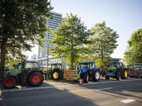 Nieuw wolvenplan zuinig voor veehouder met schade