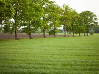 \'De verhuizing is aanstaande\'