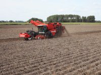 Rabobank beloont uientelers die werken met steriele insectentechniek