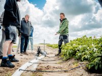 Inspectie SZW: groenteteler houdt zich niet aan coronaregels