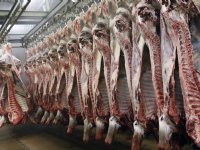 Bodemkaravaan trekt langs profielkuilen