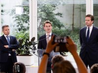 Teelt bosbessen in Duitsland steeds populairder
