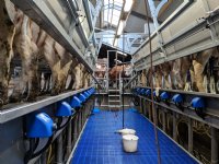 Boerderij aan de Dijk in Nagele zet luiken open