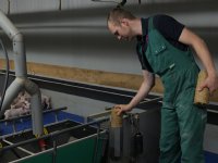 Kritiek op PlanetProof-eisen voor kassen