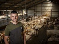 Aantal Duitse varkensbedrijven in tien jaar bijna gehalveerd