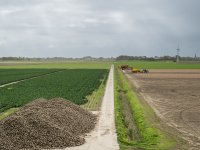 TV: Geen factuur pluimveehouders tijdens fipronil-rechtszaak