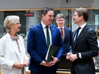Europa importeert dubbel zoveel eieren