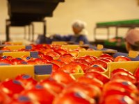 \'Leegstand boerderijen gaat verder dan de gebouwen\'