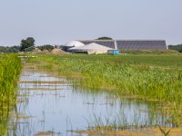 Bijna helft van suikerbieten verwerkt
