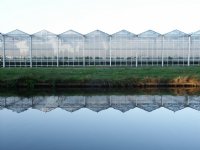 Productie RFC in Gerkesklooster hervat