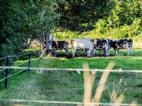 Proeftuin Zwaagdijk wint regionale ondernemingsprijs