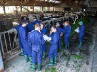 FAVV: gebruik ondergelopen percelen zes maanden niet