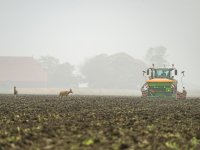 Tuinders positief over EHEC-rol PT