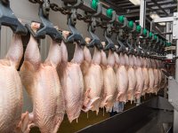 Bijna twintig jaar cel voor afpersen fruitbedrijf