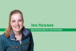 'Koeien doen het goed, ze vinden het groene gras heerlijk'